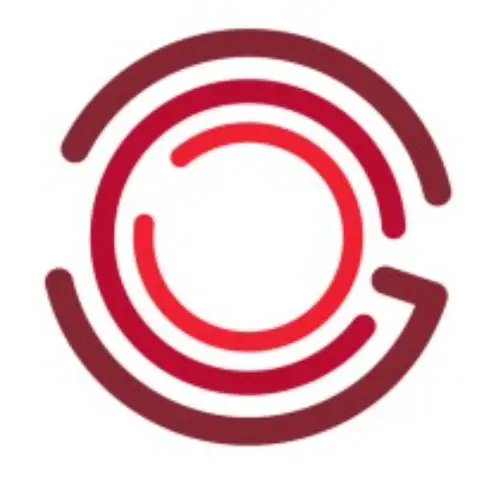 Federal Project Manager - Salesforce Implementations
