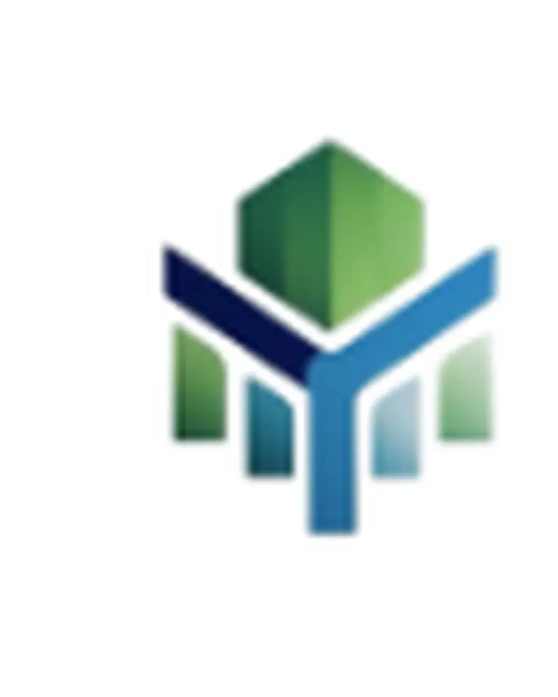 Technical Project Manager