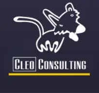 Cleo Consulting Inc.