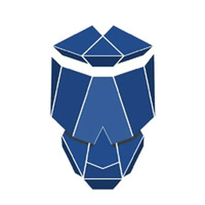Oracle Developer